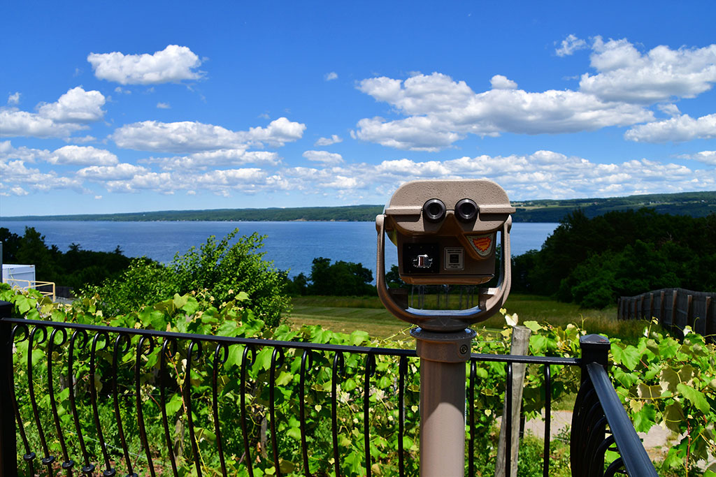 View of Seneca Lake from Seneca Lake Winery.